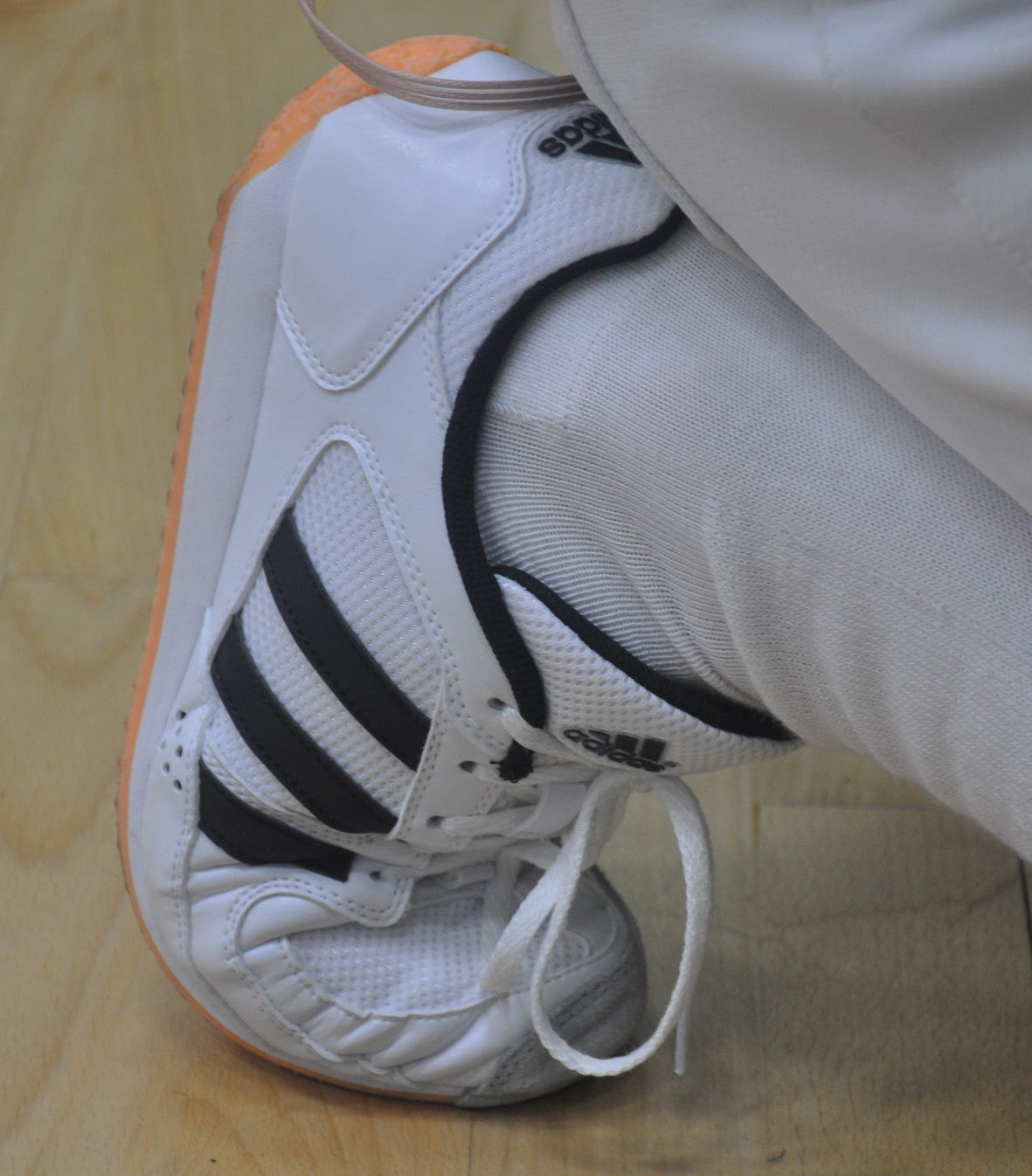 Picture of a squash shoe